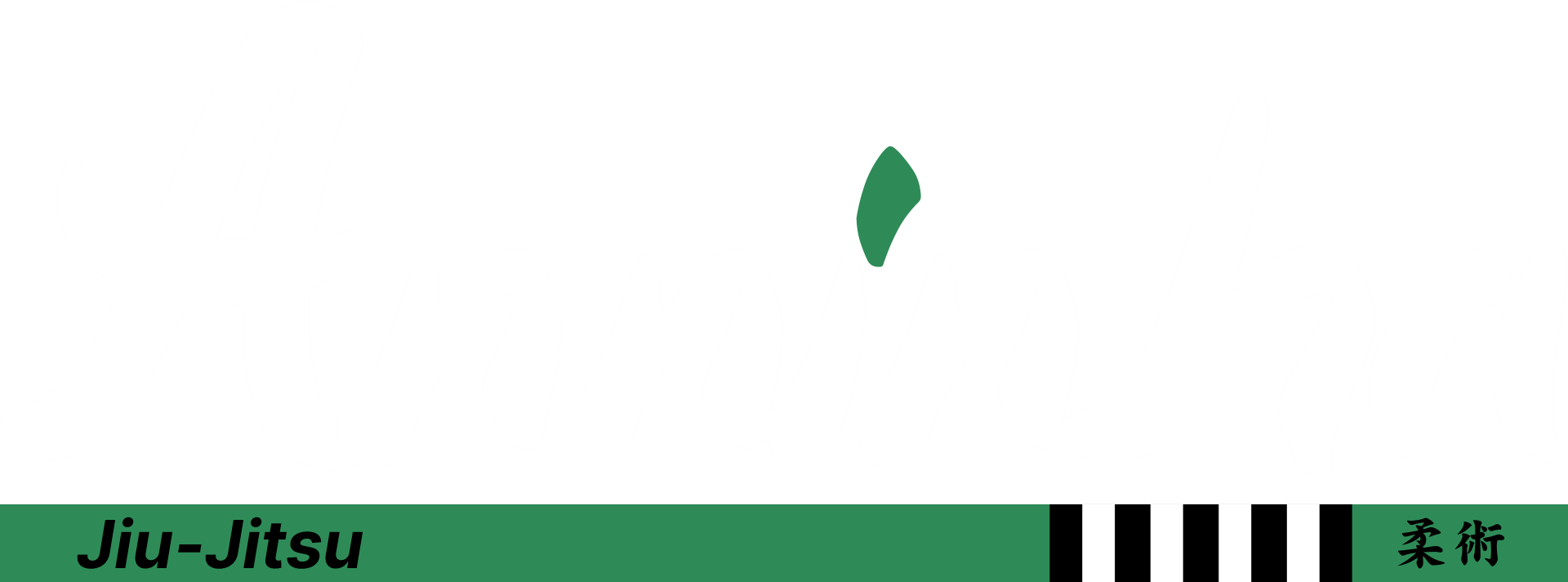 Aninha Jiu-Jitsu