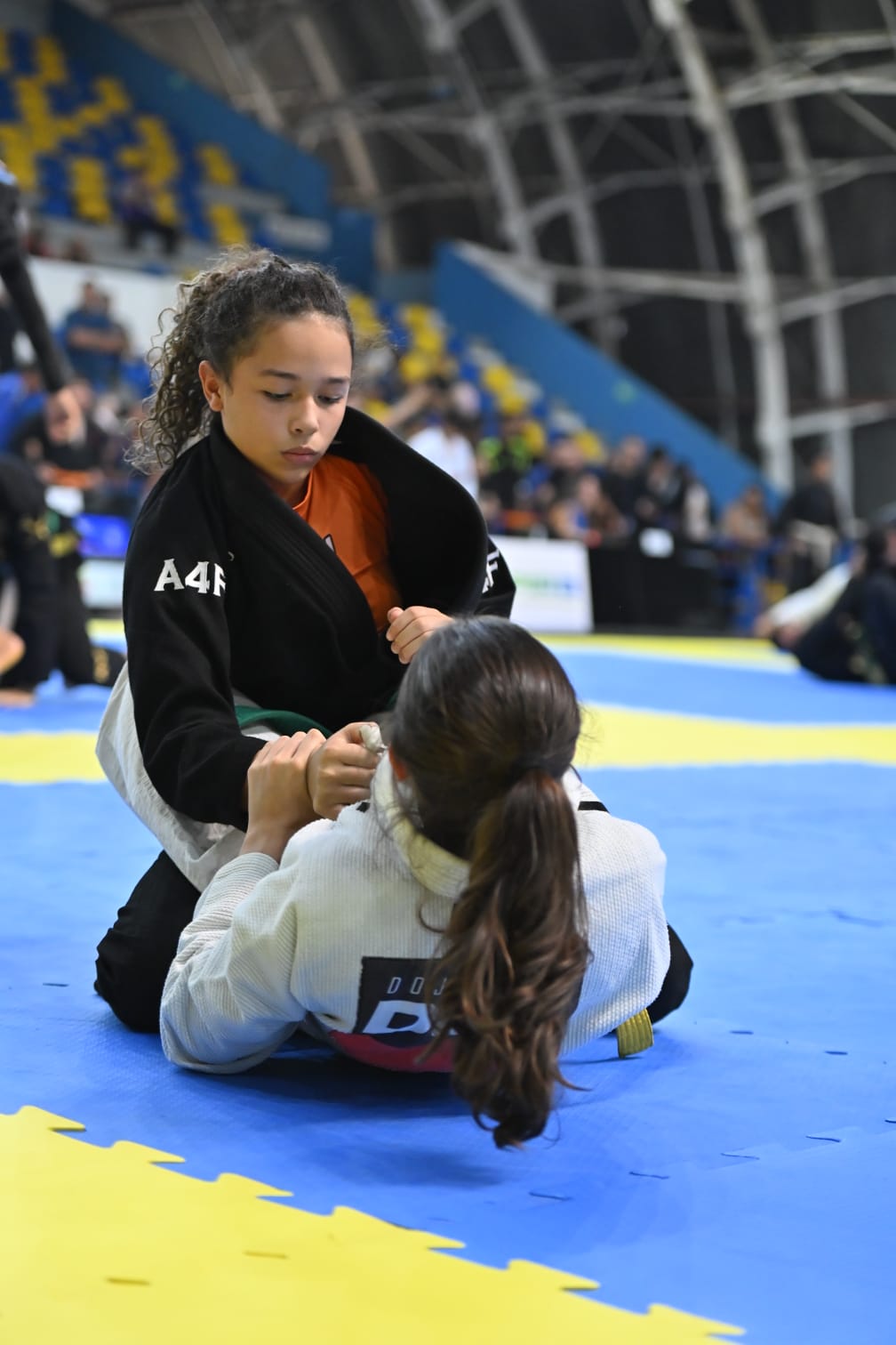 Aninha em combate de jiu-jitsu